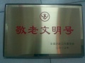 深圳市龙岗区龙岗街道敬老院图片
