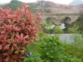 贵阳市观山湖区百花湖乡花桥养老院图片
