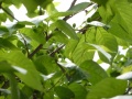 贵阳市观山湖区百花湖乡花桥养老院图片