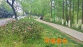 成都市锦江区暖巢人家照料护理中心图片