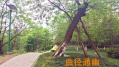 成都市锦江区暖巢人家照料护理中心图片