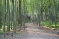 太平山庄夏季避暑圣地图片