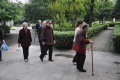 重庆市大渡口区康乐养老院图片