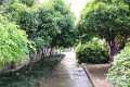 杭州市下城区石桥爱心养老服务中心图片